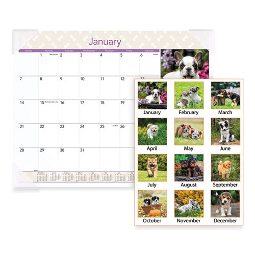 Puppies Monthly Desk Pad Calendar, Puppies Photography, 22 X 17, White Sheets, Clear Corners, 12-month (jan To Dec): 2024