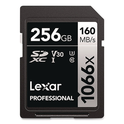 Professional Silver Series Sdxc Memory Card, Uhs-i V30 U1 Class 10, 256 Gb