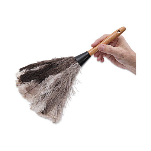 Professional Ostrich Feather Duster, 7" Handle