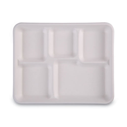 Bagasse Dinnerware, 5-compartment Tray, 10 X 8, White, 500/carton