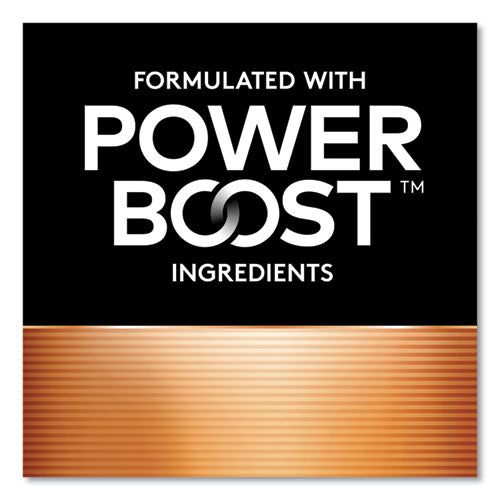 Power Boost Coppertop Alkaline Aa Batteries, 10/pack