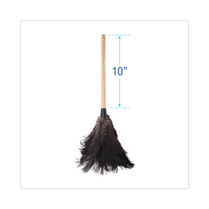 Professional Ostrich Feather Duster, 10" Handle