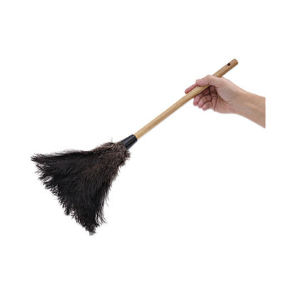 Professional Ostrich Feather Duster, 10" Handle