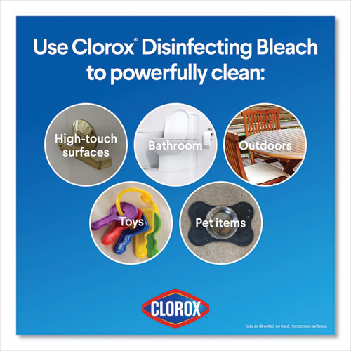 Regular Bleach With Cloromax Technology, 24 Oz Bottle, 12/carton