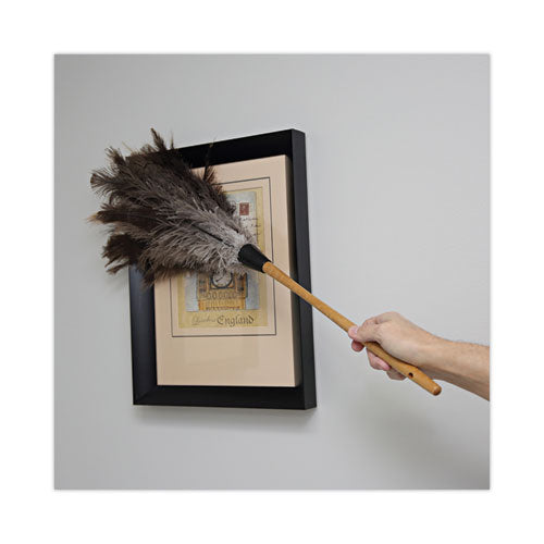 Professional Ostrich Feather Duster, 16" Handle