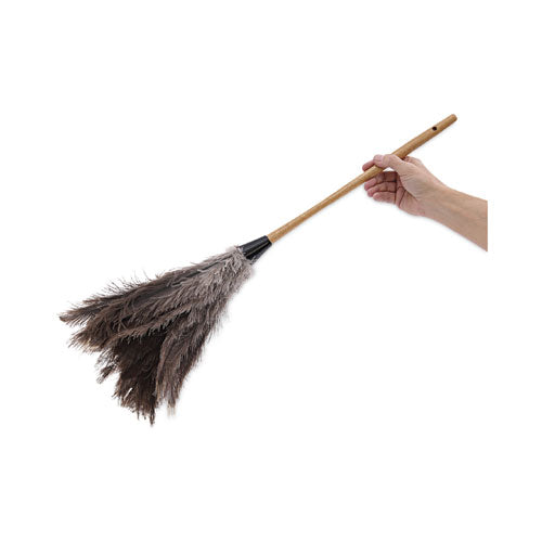 Professional Ostrich Feather Duster, 16" Handle