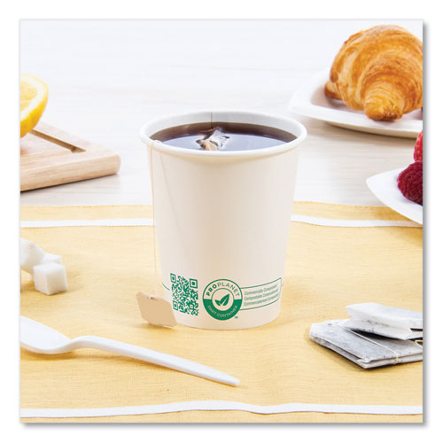 Compostable Paper Hot Cups, Proplanet Seal, 10 Oz, White/green, 1,000/carton