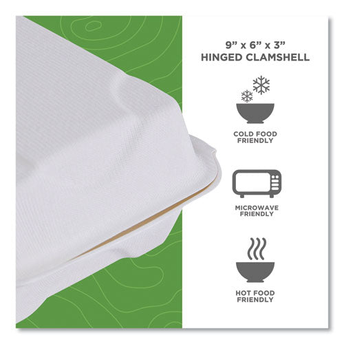 Vanguard Renewable And Compostable Sugarcane Clamshells, 1-compartment, 9 X 6 X 3, White, 250/carton