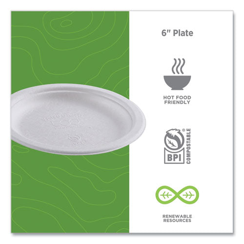 Renewable Sugarcane Plates, 6" Dia, Natural White, 1,000/carton