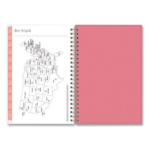 Fly By Frosted Weekly/monthly Planner, Fly By Butterflies Artwork, 8 X 5, Blush/pink Cover, 12-month (jan To Dec): 2024