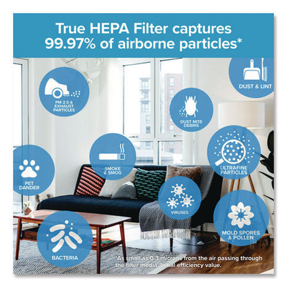 True Hepa Air Purifier Filter, 12 X 6.75 X 2